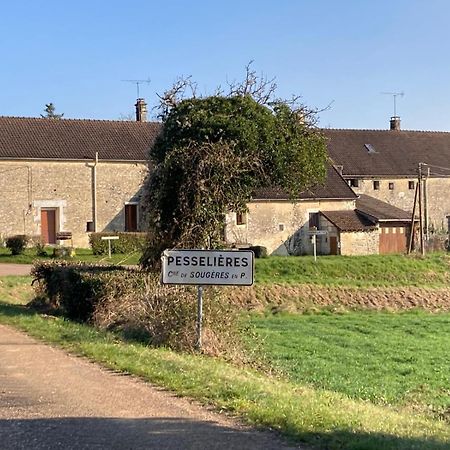 Sougeres-en-Puisaye Longere Campagne 10 Pers. Proche Guedelon 빌라 외부 사진
